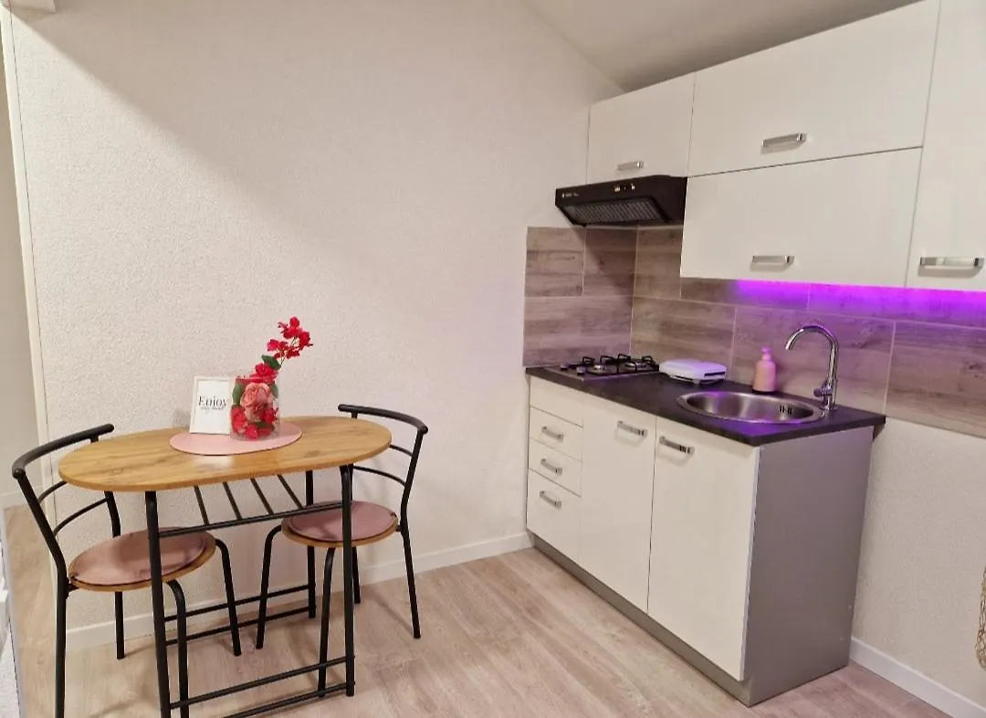 Apartment Studio App & Beauty Loza Zambratija  Croatia
